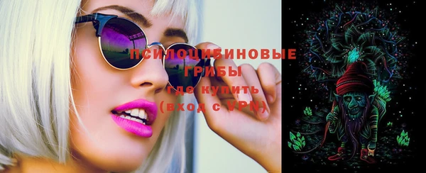 ПСИЛОЦИБИНОВЫЕ ГРИБЫ Белокуриха