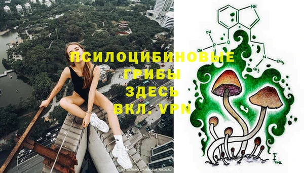 ПСИЛОЦИБИНОВЫЕ ГРИБЫ Белокуриха