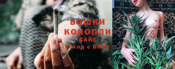 ПСИЛОЦИБИНОВЫЕ ГРИБЫ Белокуриха
