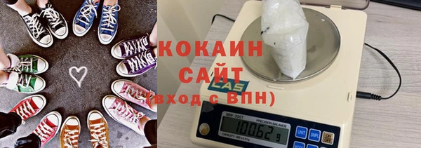 ПСИЛОЦИБИНОВЫЕ ГРИБЫ Белокуриха