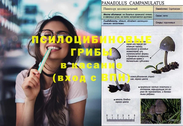 mix Богданович