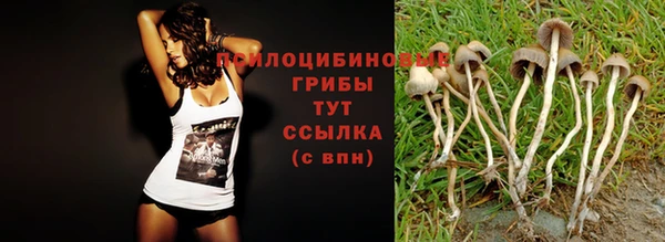 сатива Белоозёрский