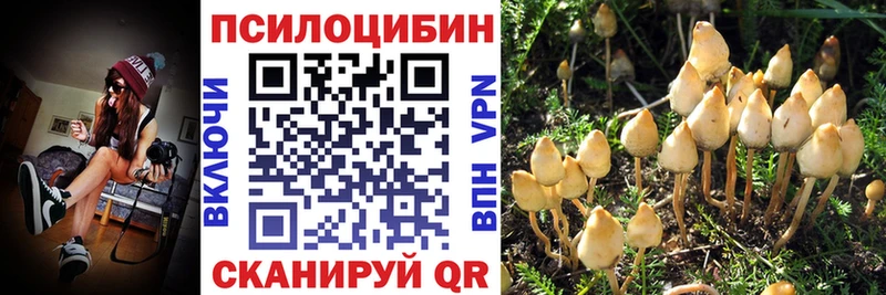 Галлюциногенные грибы GOLDEN TEACHER Могоча