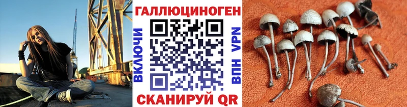 Псилоцибиновые грибы Psilocybe  Могоча 